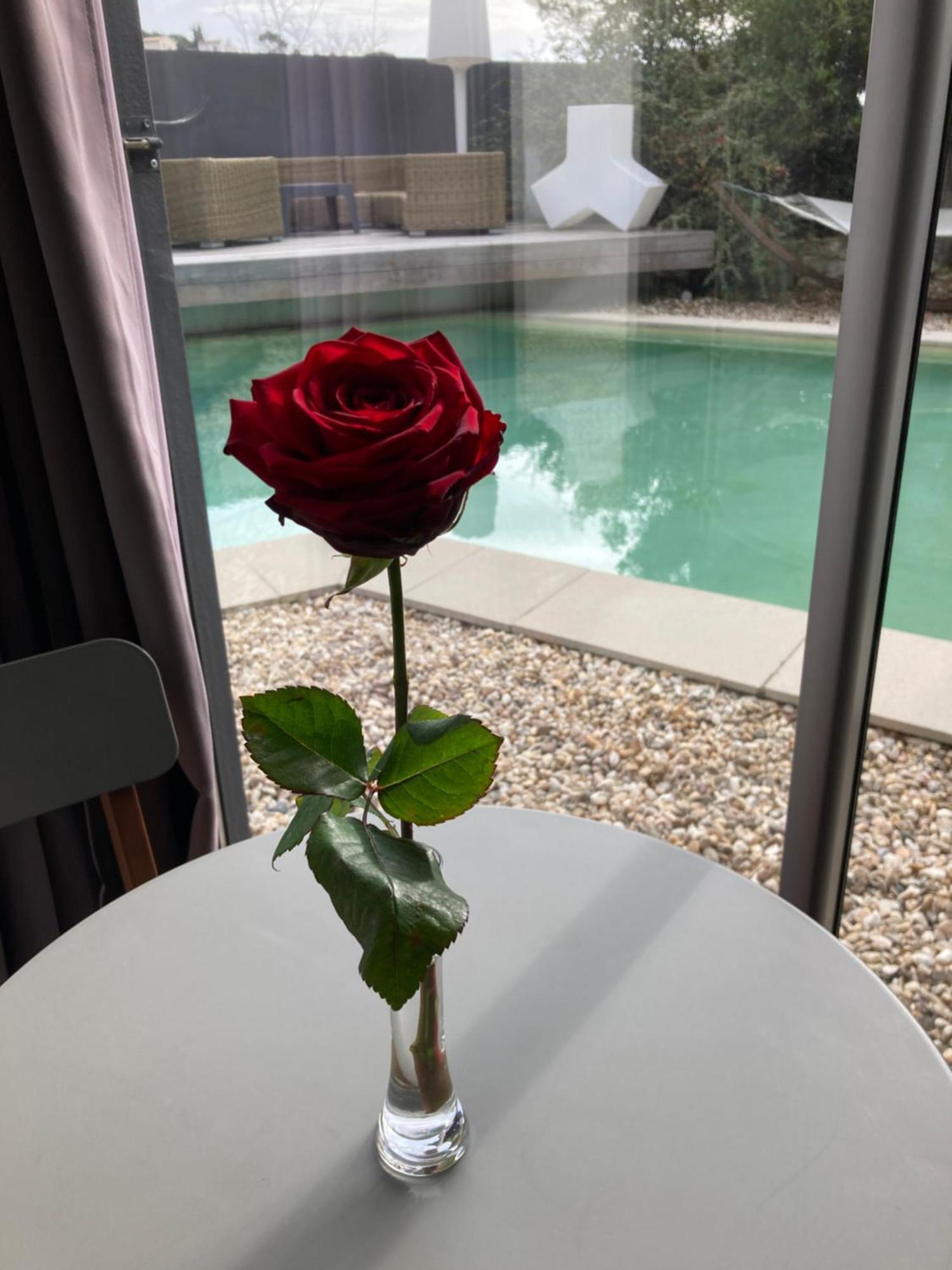 Suite 609 Nîmes Exterior foto